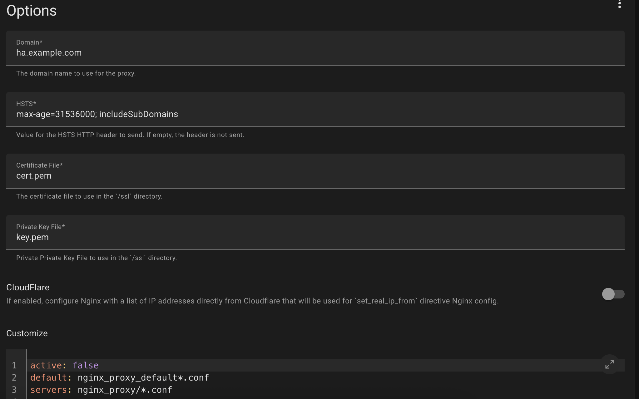 Nginx Proxy Manager Configuration